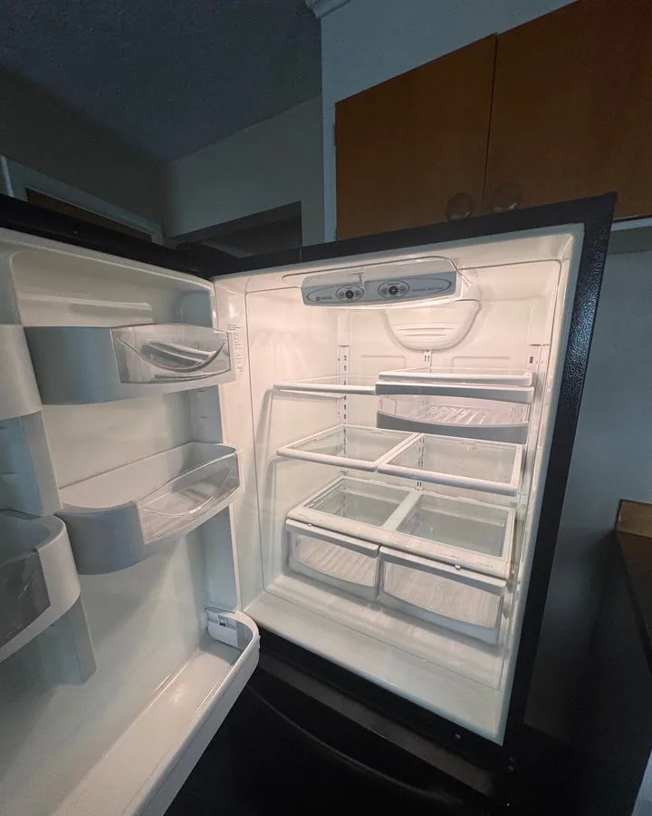 Empty refrigerator with clean glass shelves